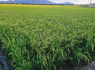 라우미님의 자유주제 · 사진전 작성글 사진