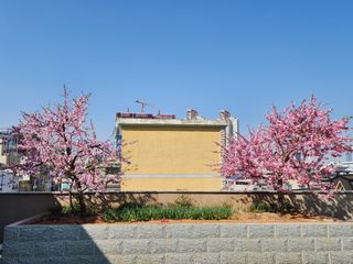 울산도시농부님의 자유주제 · 사진전 작성글 사진