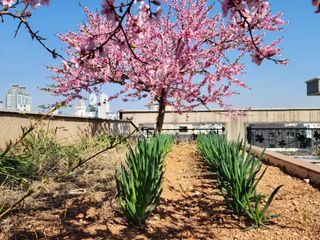 울산도시농부님의 자유주제 · 사진전 작성글 사진
