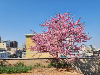울산도시농부님의 자유주제 · 사진전 작성글 사진