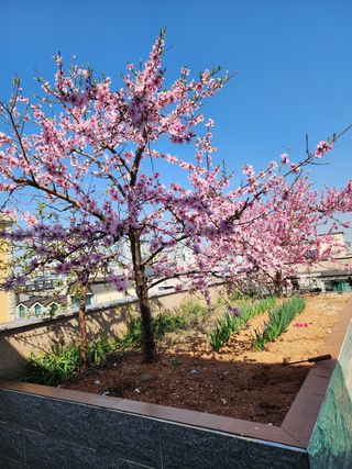 울산도시농부님의 자유주제 · 사진전 작성글 사진