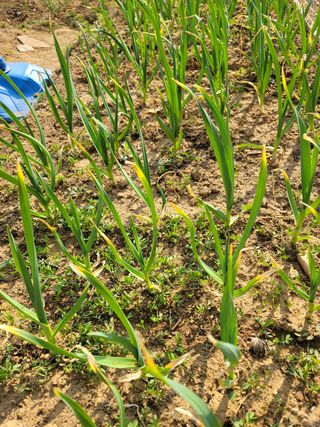 신승재님의 자유주제 · 사진전 작성글 사진