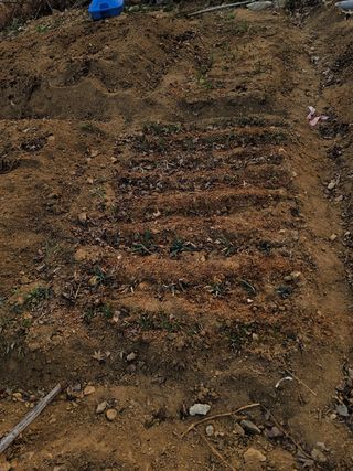 신승재님의 자유주제 · 사진전 작성글 사진