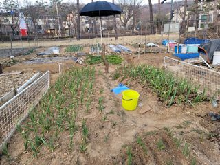 신승재님의 자유주제 · 사진전 작성글 사진