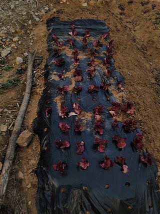 신승재님의 자유주제 · 사진전 작성글 사진