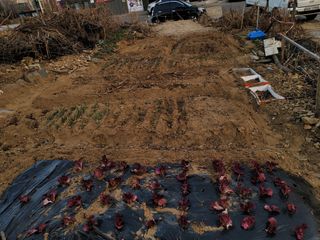 신승재님의 자유주제 · 사진전 작성글 사진