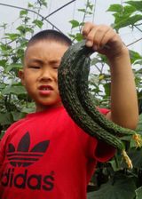 팜모닝 자유주제·사진전 게시글 이미지