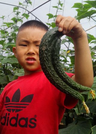 농사꾼 단비님의 자유주제 · 사진전 작성글 사진