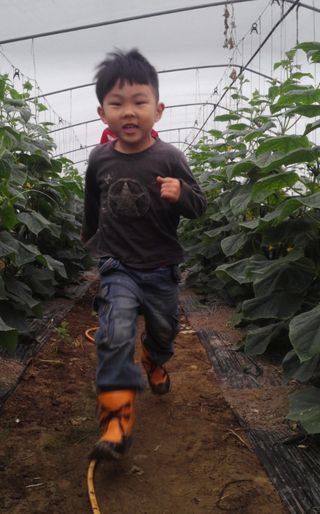 농사꾼 단비님의 자유주제 · 사진전 작성글 사진