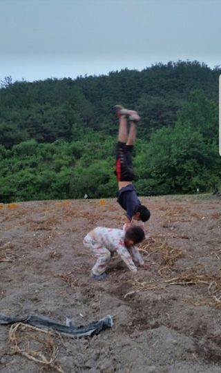 농사꾼 단비님의 자유주제 · 사진전 작성글 사진