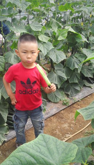 농사꾼 단비님의 자유주제 · 사진전 작성글 사진