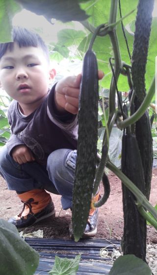 농사꾼 단비님의 자유주제 · 사진전 작성글 사진