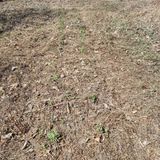 팜모닝 자유주제·사진전 게시글 이미지