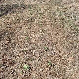 루이스장님의 자유주제 · 사진전 작성글 사진