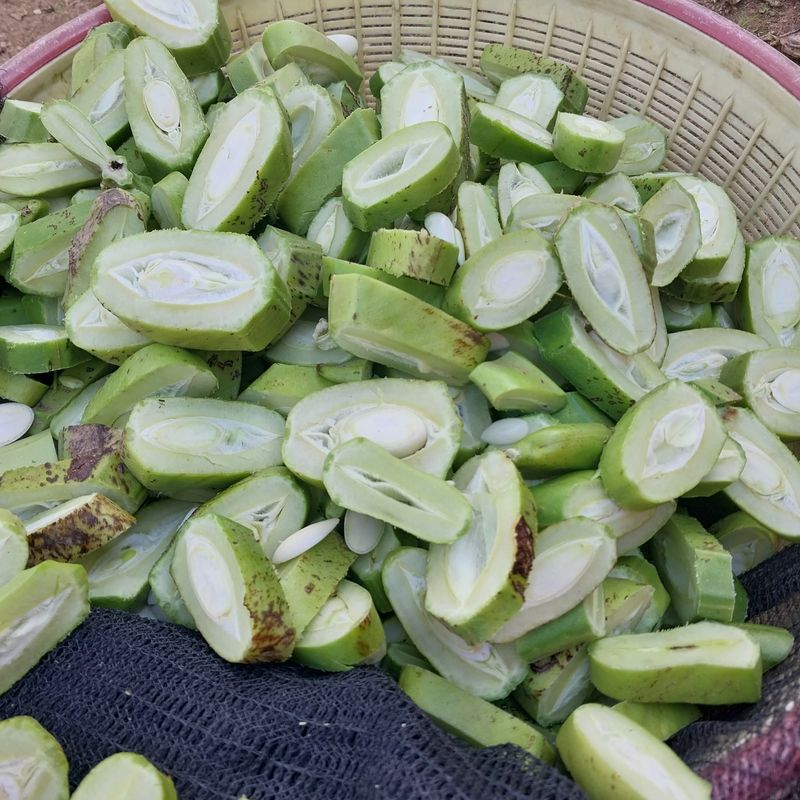 아로대추님의 장터 판매 상품 [햇 볶은 작두콩 차] 첨부 사진