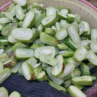 아로대추님의 작성글 사진