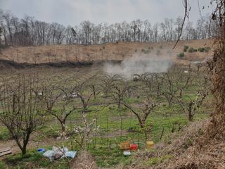 봉구~아삭아삭님의 배 · 비료•농약 작성글 사진