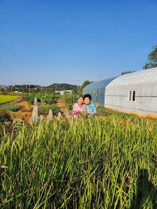 자연과의 소통님의 자유주제 · 사진전 작성글 사진