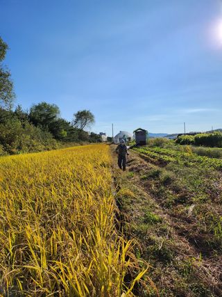 자연과의 소통님의 자유주제 · 사진전 작성글 사진