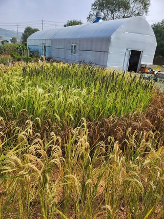 자연과의 소통님의 자유주제 · 사진전 작성글 사진