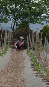 팜모닝 자유주제·사진전 게시글 이미지