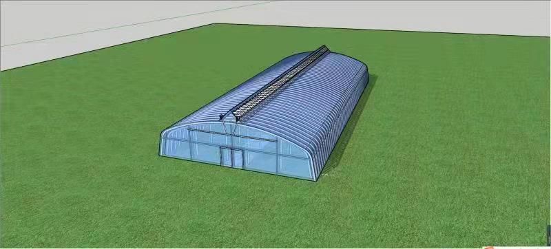 장터 상품 [비가림 비닐하우스 (원하시는 폭으로)] 썸네일