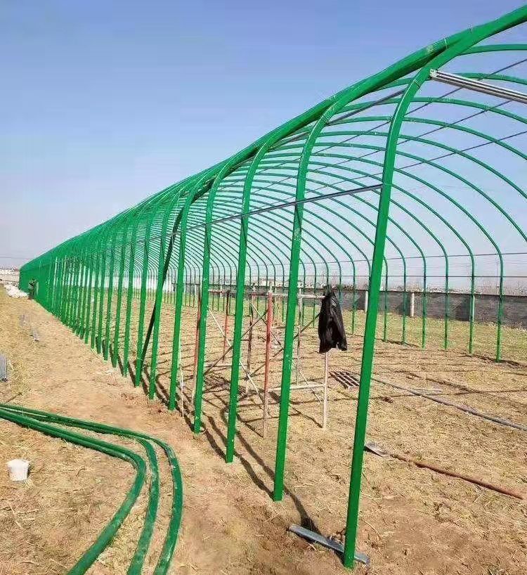 농업회사법인 진향님의 장터 판매 상품 [비가림 비닐하우스 (원하시는 폭으로)] 첨부 사진