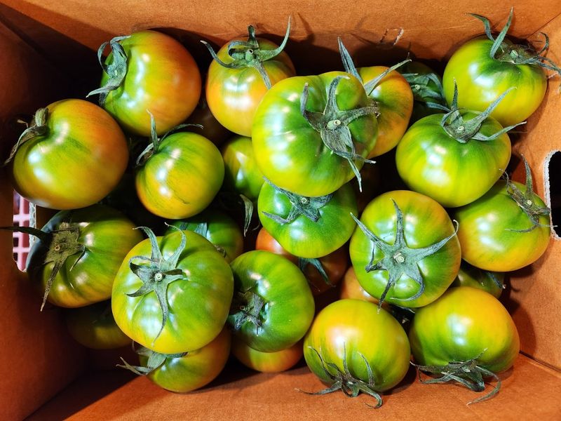 장터 상품 [정품 대저 짭짤이 토마토 2.5kg] 썸네일