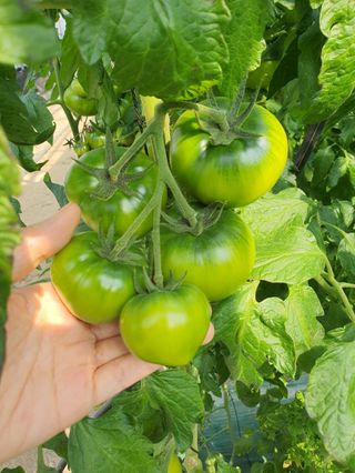 프룻하늬님의 작성글 사진