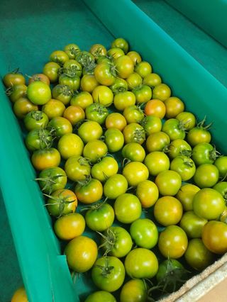 프룻하늬님의 작성글 사진