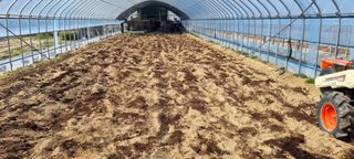 대삼팜스빌리지님의 고추 · 토양준비 작성글 사진