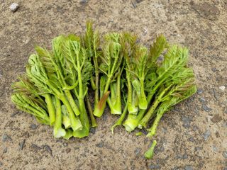 빈현린님의 기타작물 · 자유게시판 작성글 사진