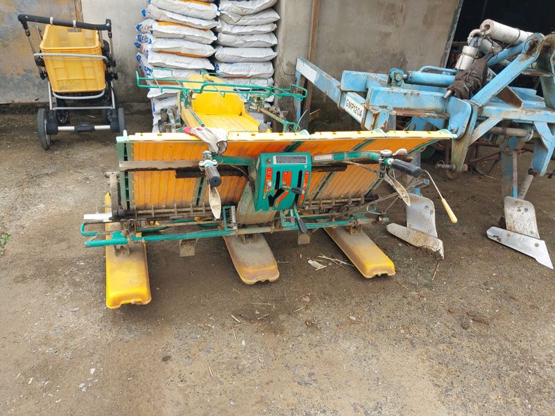 풍년기원님의 장터 판매 상품 [어린모이앙기] 첨부 사진