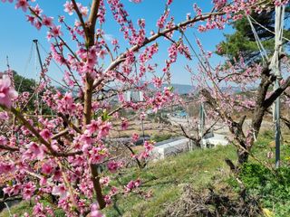 변광우님의 자유주제 · 사진전 작성글 사진