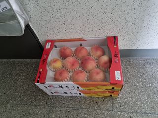 변광우님의 자유주제 · 사진전 작성글 사진