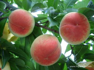 변광우님의 자유주제 · 사진전 작성글 사진