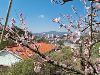 변광우님의 자유주제 · 사진전 작성글 사진