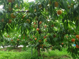 변광우님의 자유주제 · 사진전 작성글 사진