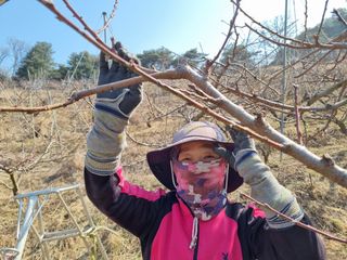 변광우님의 자유주제 · 사진전 작성글 사진