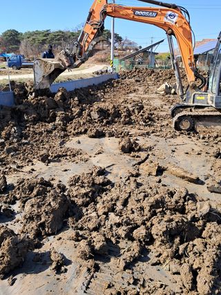 김석현님의 기타작물 · 자유게시판 작성글 사진