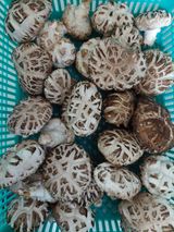 팜모닝 자유주제·사진전 게시글 이미지