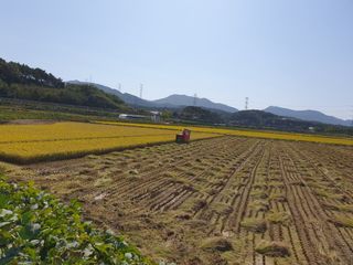 한량님의 자유주제 · 사진전 작성글 사진