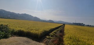 한량님의 자유주제 · 사진전 작성글 사진