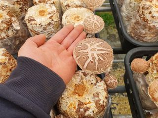 천현석님의 자유주제 · 사진전 작성글 사진