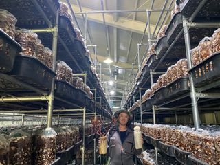 천현석님의 자유주제 · 사진전 작성글 사진