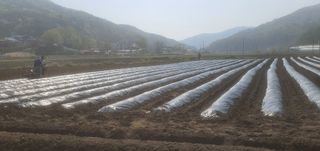 천현석님의 자유주제 · 사진전 작성글 사진