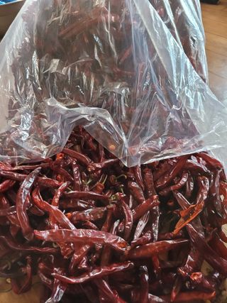 김성자님의 자유주제 · 건의해요 작성글 사진