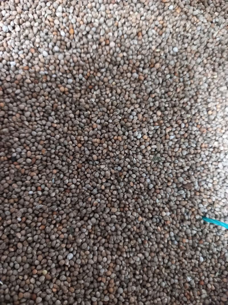 장터 상품 [들 깨 14키로] 썸네일