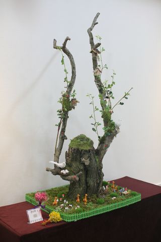 다육아트님의 기타작물 · 병해충상담 작성글 사진