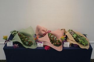 다육아트님의 기타작물 · 병해충상담 작성글 사진